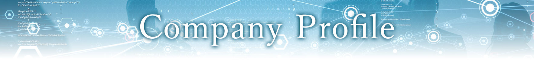 company profile